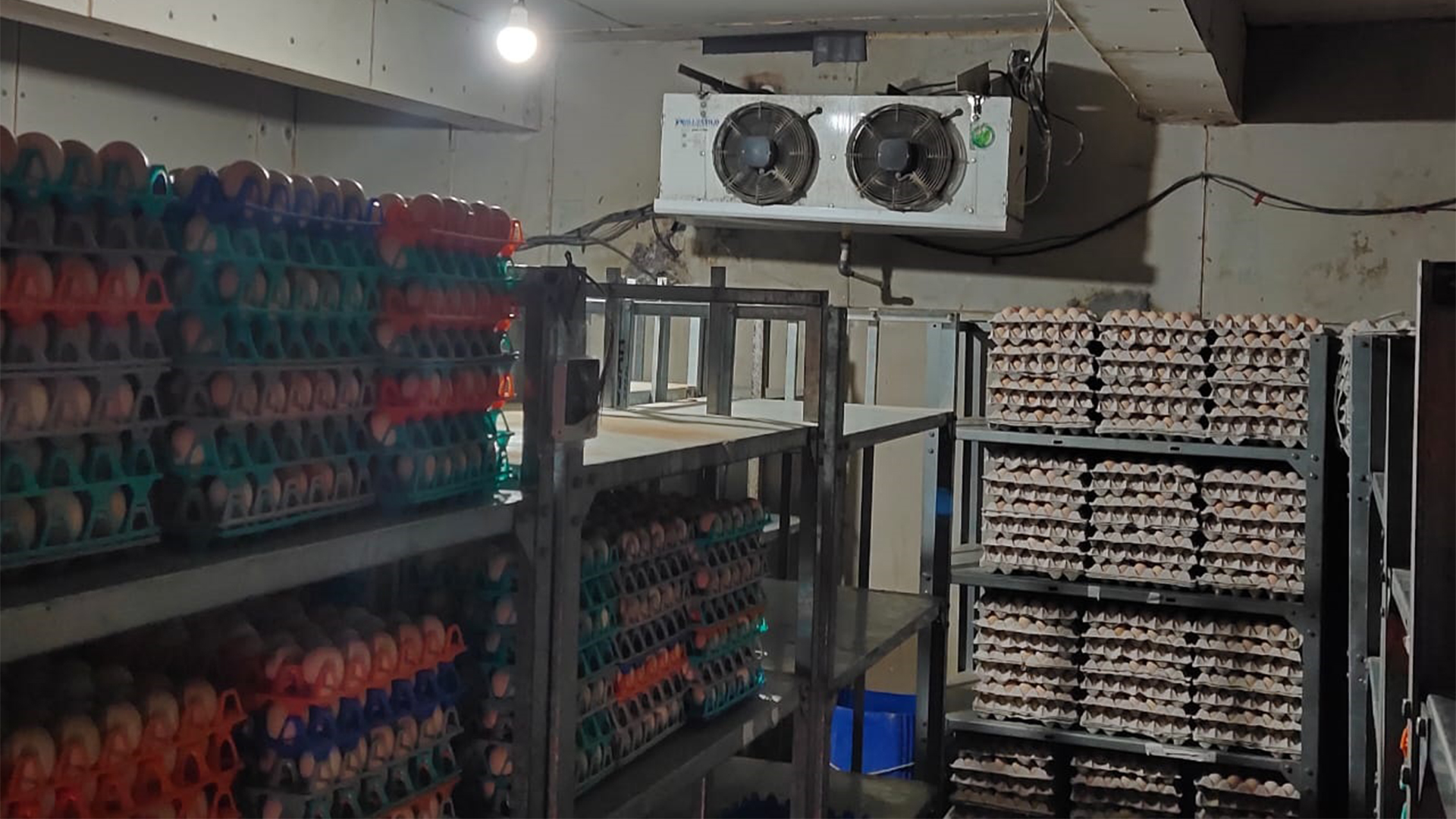 Egg Cold Storage System